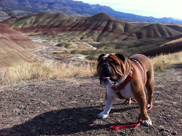 Buddha in the Painted Hills