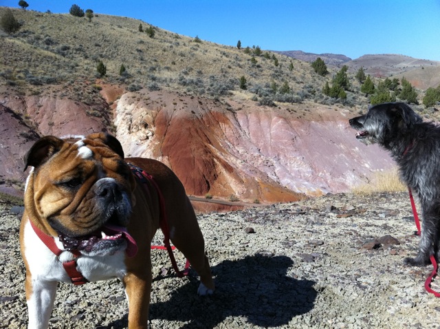 Buddha and Ernie in the Painted Hills